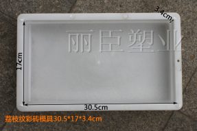 荔枝纹塑料彩砖模盒